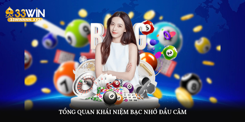 Tổng quan khái niệm bạc nhớ đầu câm