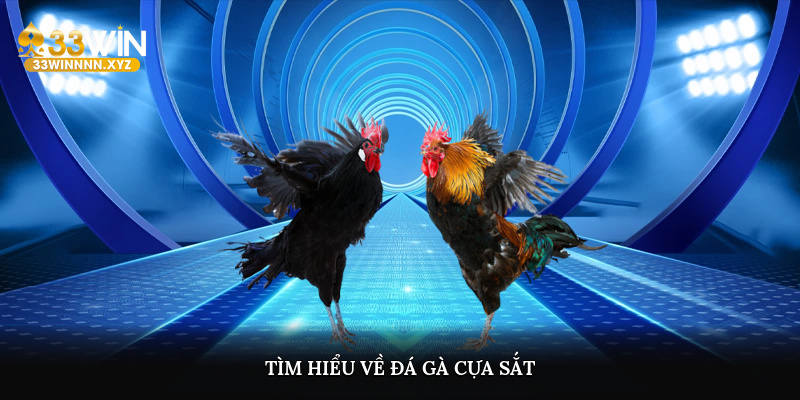 Tìm hiểu về đá gà cựa sắt