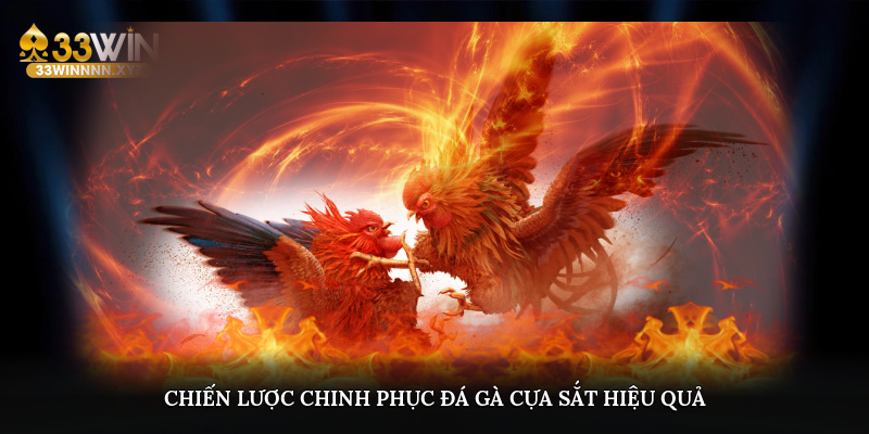 Chiến lược chinh phục đá gà cựa sắt hiệu quả