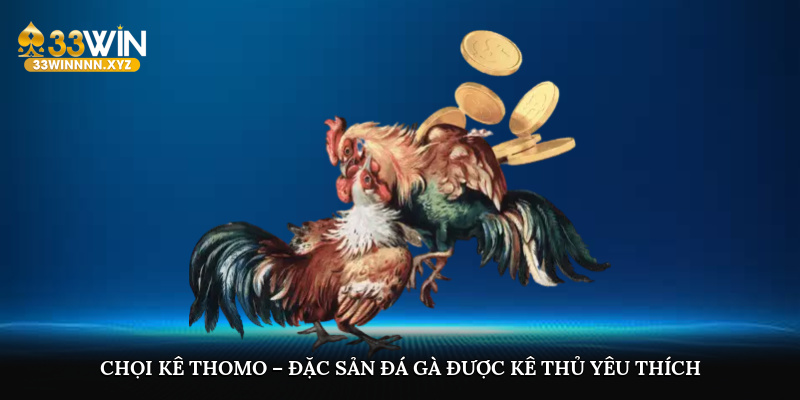 Chọi kê Thomo – Đặc sản đá gà được kê thủ yêu thích