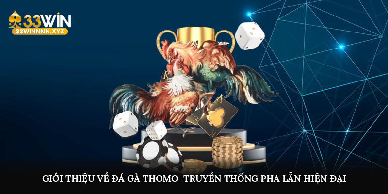 Giới thiệu về đá gà Thomo: Truyền thống pha lẫn hiện đại