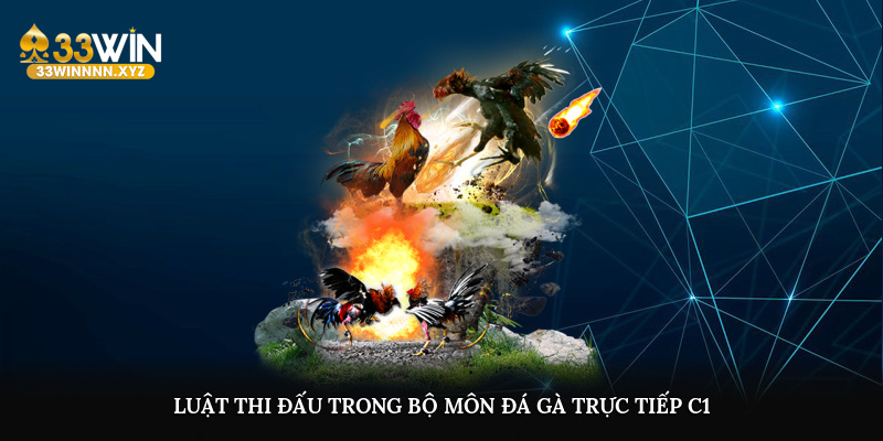 Luật thi đấu trong bộ môn đá gà trực tiếp C1
