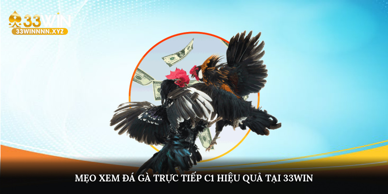 Mẹo xem đá gà trực tiếp C1 hiệu quả tại 33WIN