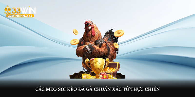 Các mẹo soi kèo đá gà chuẩn xác từ thực chiến